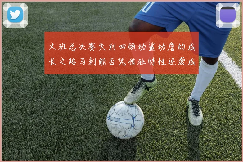 文班总决赛失利回顾幼鲨幼詹的成长之路马刺能否凭借独特性逆袭成功
