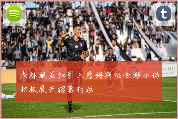 森林狼虽知引入詹姆斯机会渺小仍积极展开招募行动